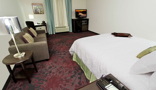 Room, 1 King Bed