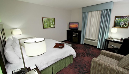 Room, 1 King Bed, Accessible, Non Smoking