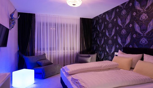 Comfort Single Room, Private Bathroom