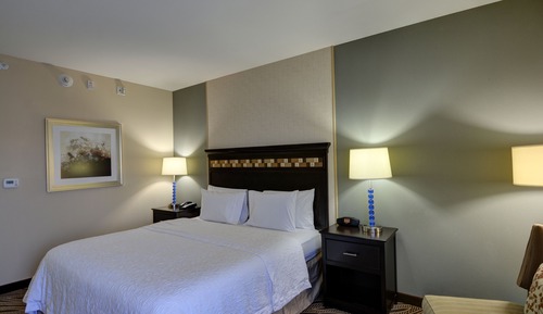 Room, 1 King Bed, Accessible, Non Smoking