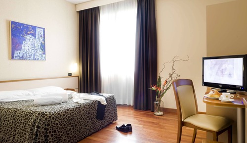 Standard Double Room Single Use