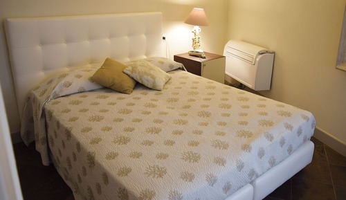 Room, 1 Large Twin Bed