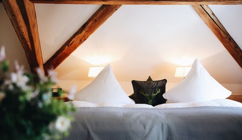 Deluxe Double Room (Parkett)