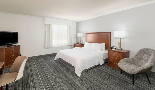 Studio Suite, 1 King Bed with Sofa bed (Mobility/Hearing Accessible, Tub)