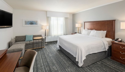 Studio Suite, 1 King Bed with Sofa bed