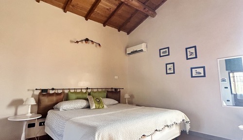 Romantic Studio (Frantoio)