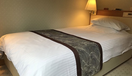 Single Room (can't serve dinner after 8PM check in)