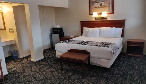 Standard Room, 1 King Bed, Non Smoking