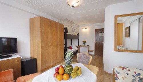 Family Room, 1 Bedroom