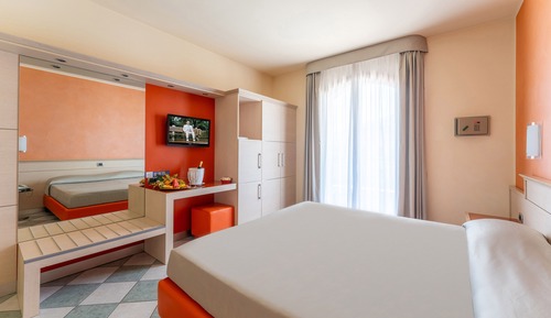 Deluxe Double Room Single Use