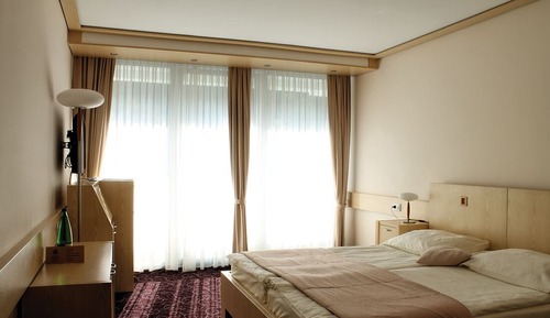 Double room - forest view