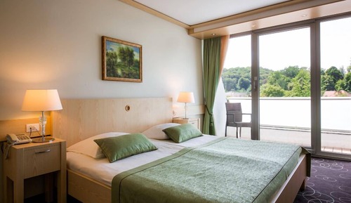 Small double room - forest view