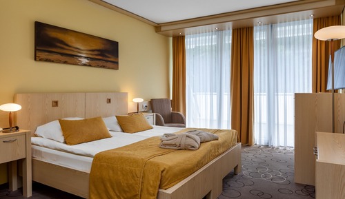 Double room - park view
