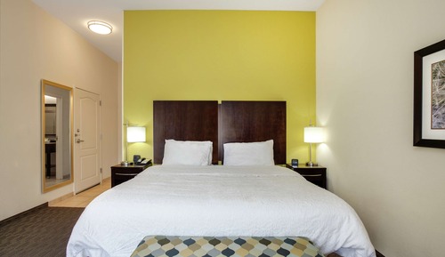 Room, 1 King Bed, Refrigerator & Microwave