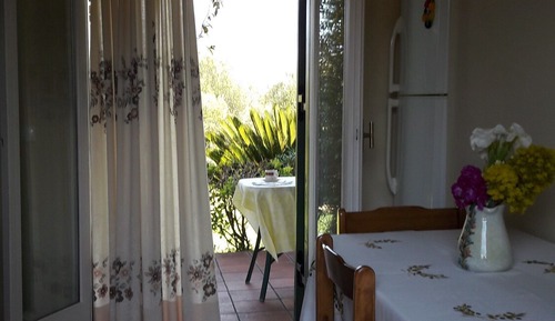 Studio, Kitchen, Mountain View