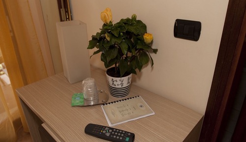 Economy Room, 1 Bedroom