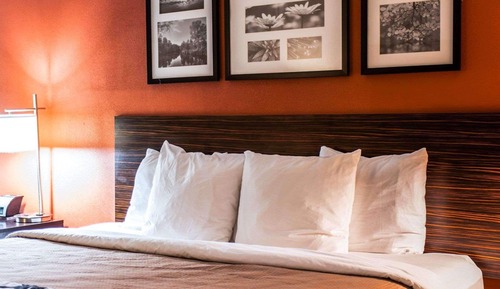 Standard Room, 1 King Bed, Non Smoking