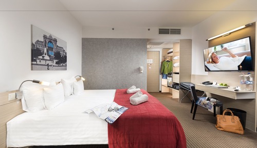 Superior Double or Twin Room