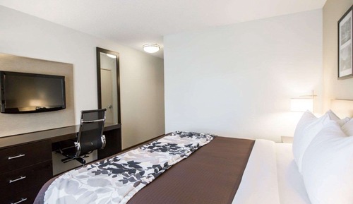 Standard Room, 1 King Bed, Non Smoking