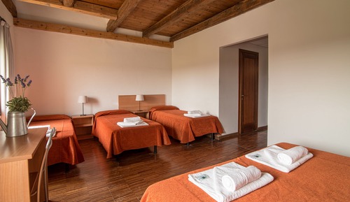 Economy Quadruple Room