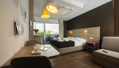 Premium Studio, Balcony, Partial Lake View