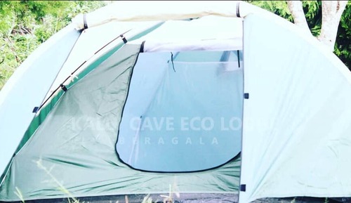Basic Tent