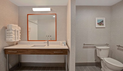 Room, 1 King Bed, Accessible (Mobility & Hearing, Roll-in Shower)