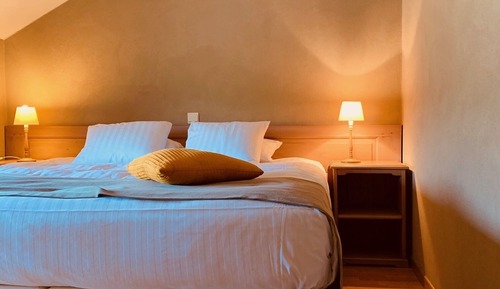 Classic Double or Twin Room