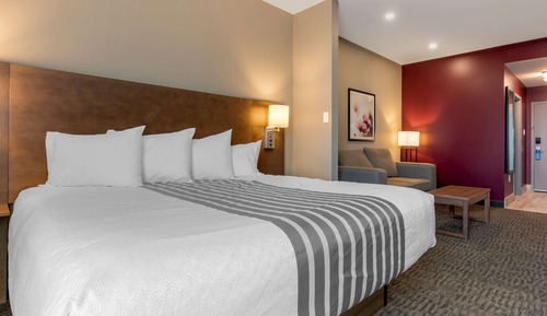 Suite, 1 King Bed, Non Smoking, Refrigerator & Microwave (Shower Only;with Sofabed)