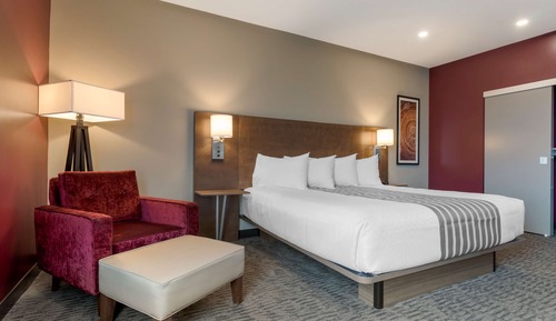 Standard Room, 1 King Bed, Accessible, Refrigerator & Microwave