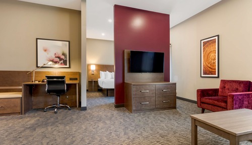 Suite, 1 King Bed, Non Smoking, Jetted Tub (Shower Only;with Sofabed)