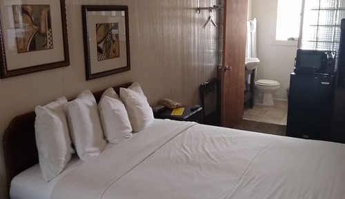 Comfort Single Room