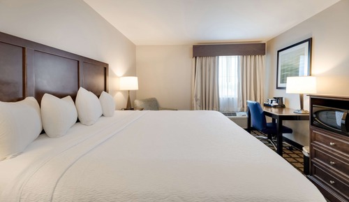 Standard Room, 1 King Bed, Non Smoking, Refrigerator & Microwave