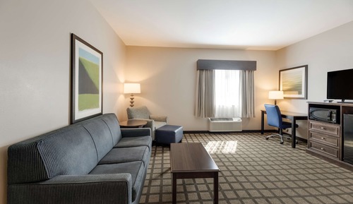 Suite, 1 King Bed, Accessible, Refrigerator & Microwave (with Sofabed)