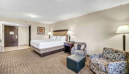 Room, 1 Queen Bed, Accessible, Non Smoking (Roll-in Shower)