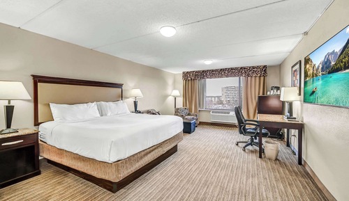 Business Room, 1 King Bed, Non Smoking