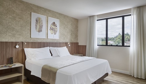 Luxury Studio Suite, 1 King Bed with Sofa bed