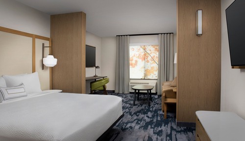 Suite, 1 King Bed with Sofa bed