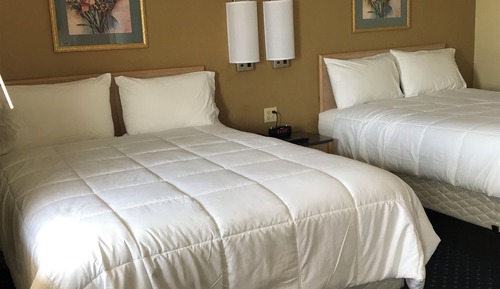 Standard Room, 2 Queen Beds