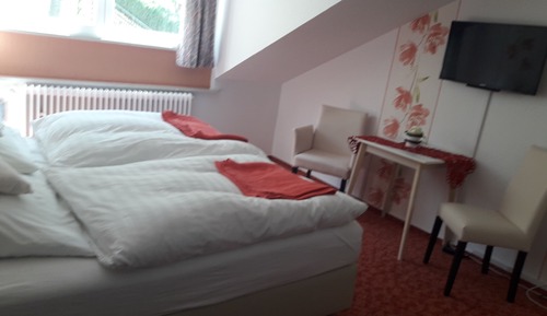 Basic Double Room
