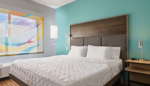 Room, 1 King Bed