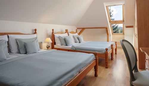Quadruple Room (attic)