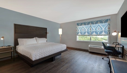 Room, 1 King Bed, Accessible (Mobility & Hearing, Roll-In Shower)
