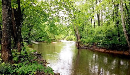 House, Multiple Beds (Cabin at Sleepy Creek - Charming Cabi)
