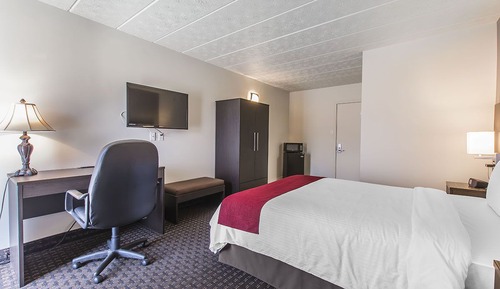 Standard Room, 1 Queen Bed