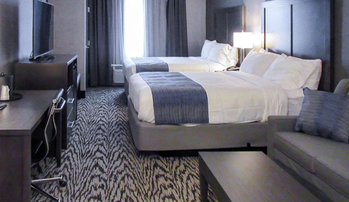Single Room, Multiple Beds, Non Smoking