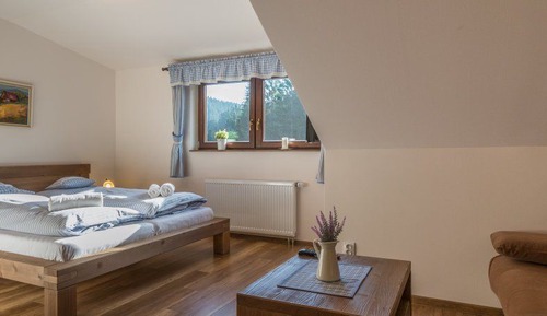 Comfort Quadruple Room