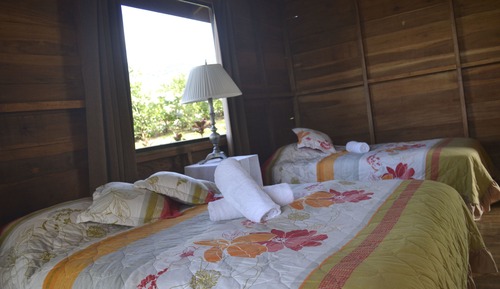 Panoramic Chalet, 1 King Bed, Accessible