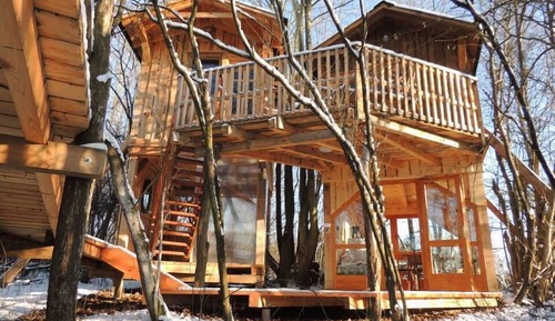 Romantic Tree House, Multiple Beds, Non Smoking