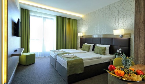 Standard Double Room, Balcony